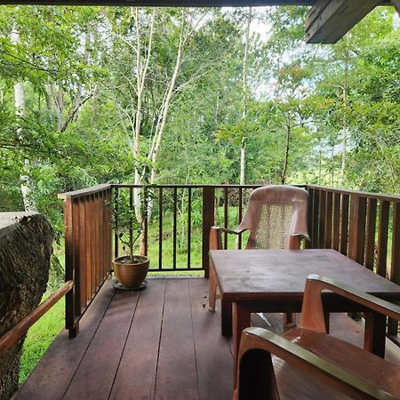 Bed and Breakfast Wilpattu Tree House Nochchiyagama Екстер'єр фото