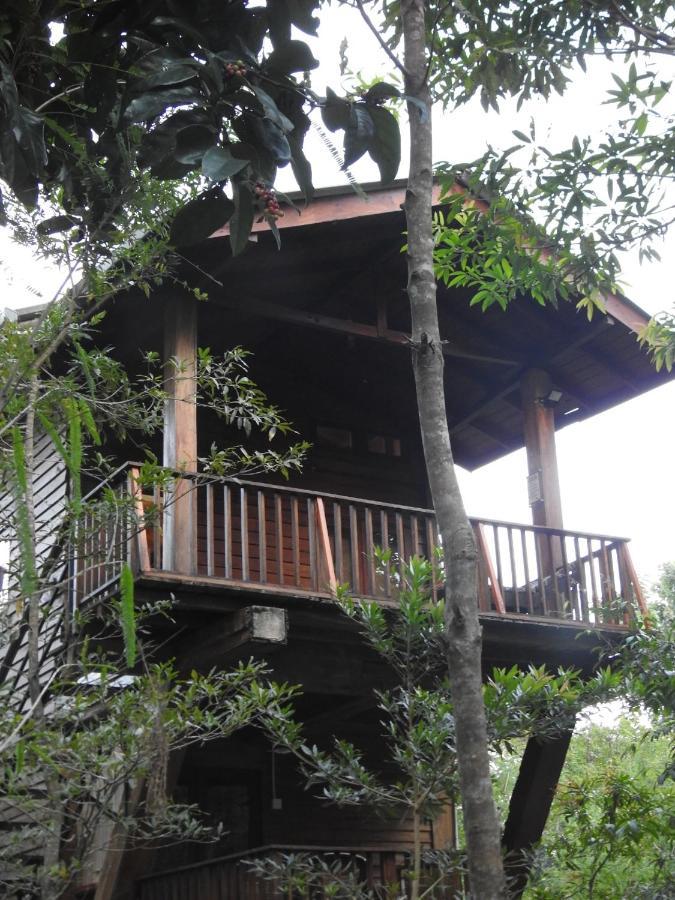 Bed and Breakfast Wilpattu Tree House Nochchiyagama Екстер'єр фото