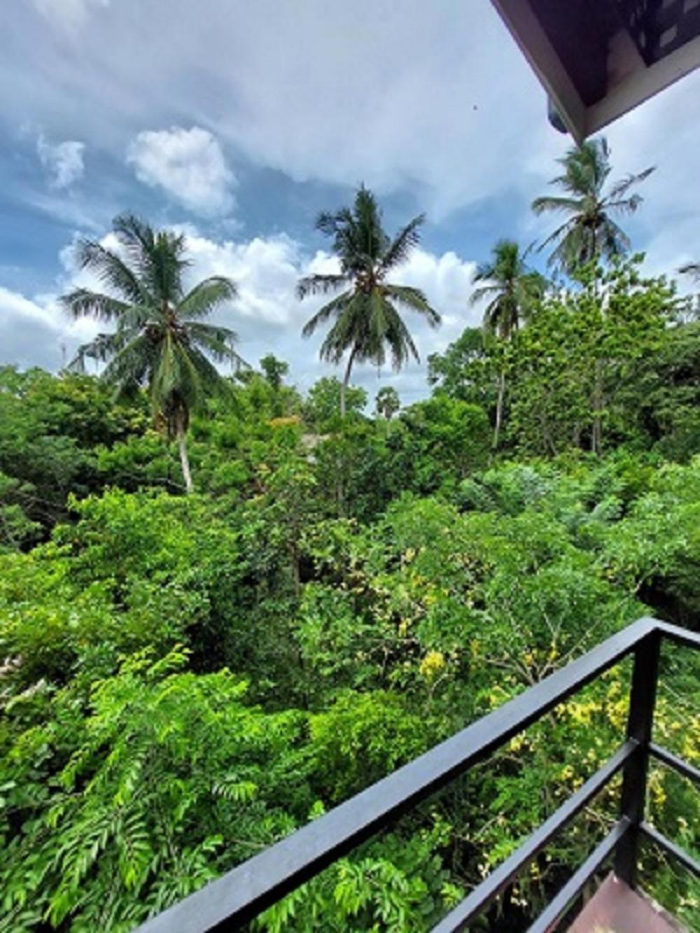 Bed and Breakfast Wilpattu Tree House Nochchiyagama Екстер'єр фото
