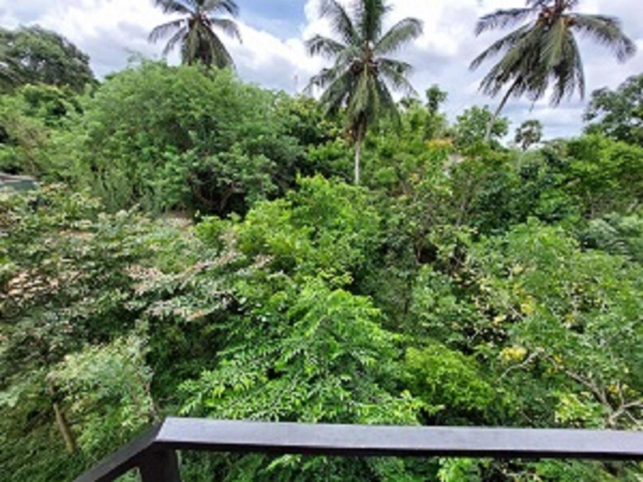 Bed and Breakfast Wilpattu Tree House Nochchiyagama Екстер'єр фото