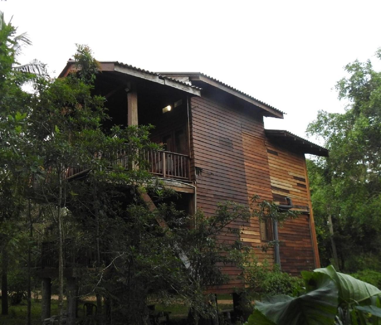 Bed and Breakfast Wilpattu Tree House Nochchiyagama Екстер'єр фото