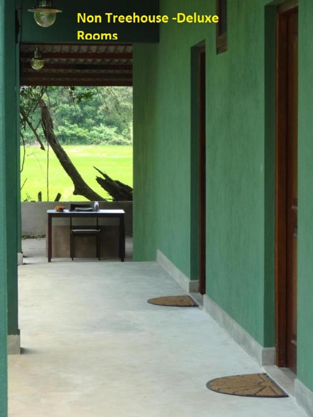 Bed and Breakfast Wilpattu Tree House Nochchiyagama Екстер'єр фото