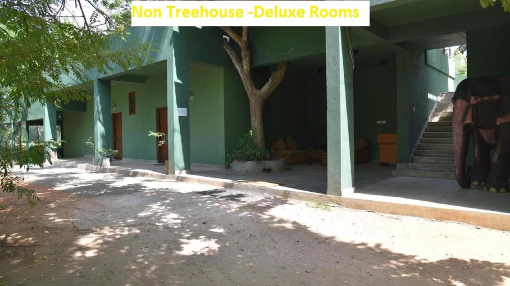 Bed and Breakfast Wilpattu Tree House Nochchiyagama Екстер'єр фото