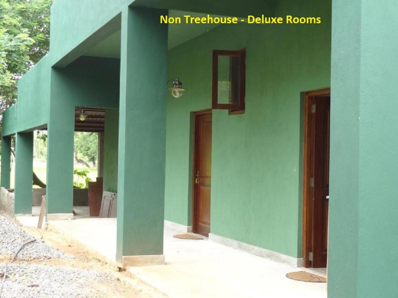 Bed and Breakfast Wilpattu Tree House Nochchiyagama Екстер'єр фото
