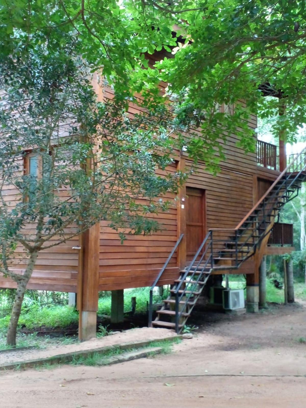 Bed and Breakfast Wilpattu Tree House Nochchiyagama Екстер'єр фото