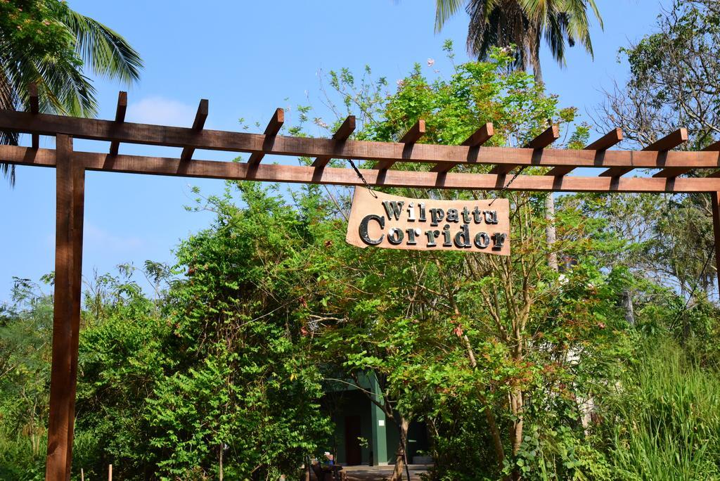 Bed and Breakfast Wilpattu Tree House Nochchiyagama Екстер'єр фото