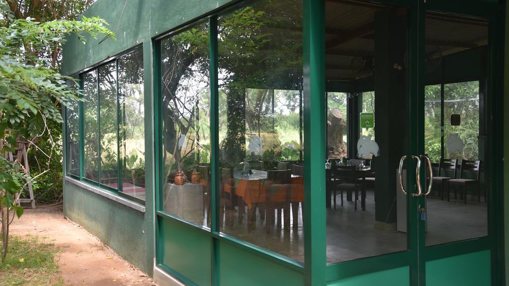 Bed and Breakfast Wilpattu Tree House Nochchiyagama Екстер'єр фото