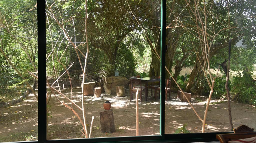 Bed and Breakfast Wilpattu Tree House Nochchiyagama Екстер'єр фото